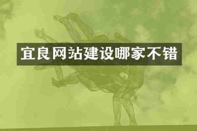 宜良网站建设哪家不错