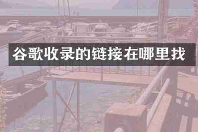 谷歌收录的链接在哪里找