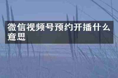 微信视频号预约开播什么意思