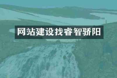 网站建设找睿智骄阳