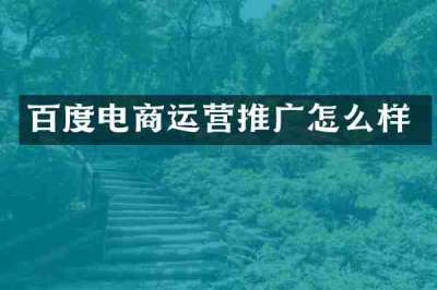 百度电商运营推广怎么样