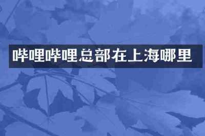 哔哩哔哩总部在上海哪里