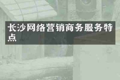 长沙网络营销商务服务特点