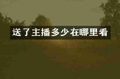 送了主播多少在哪里看