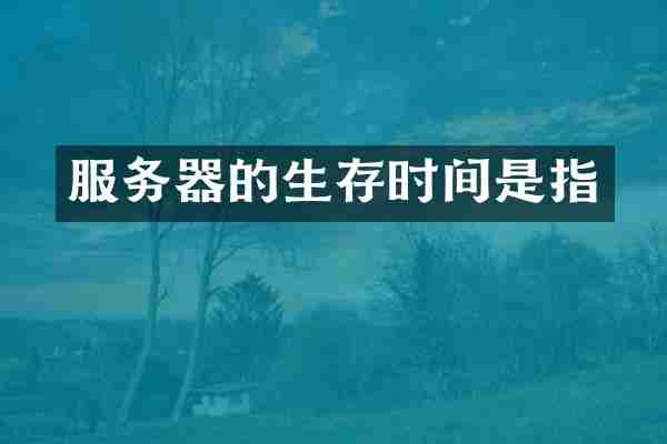 服务器的生存时间是指