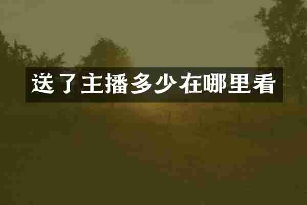 送了主播多少在哪里看