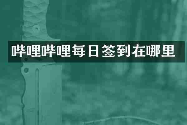 哔哩哔哩每日签到在哪里