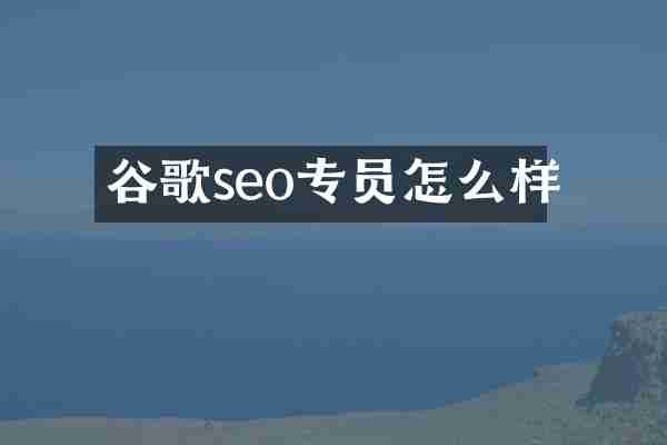 谷歌seo专员怎么样