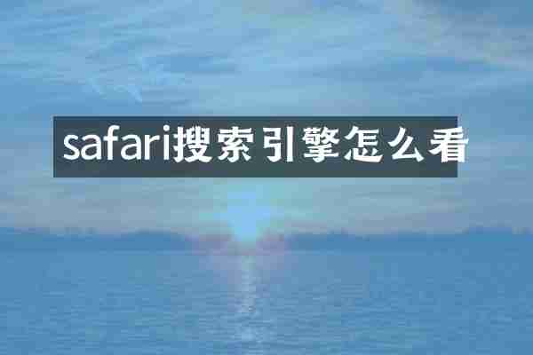 safari搜索引擎怎么看