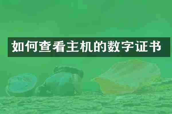如何查看主机的数字证书