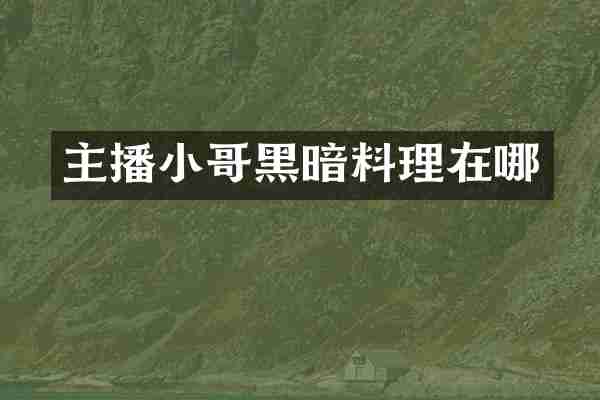 主播小哥黑暗料理在哪