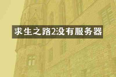 求生之路2没有服务器