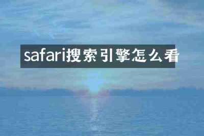 safari搜索引擎怎么看