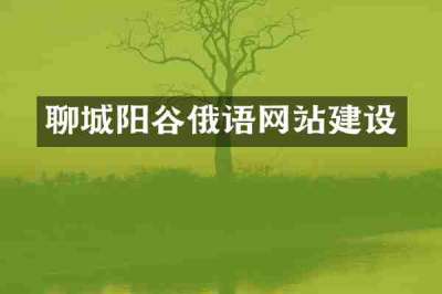 聊城阳谷俄语网站建设