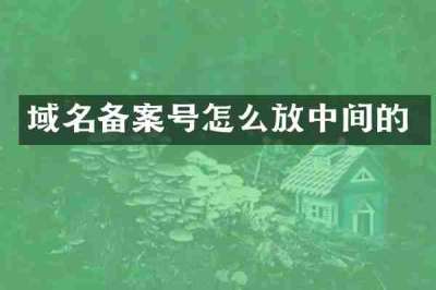 域名备案号怎么放中间的