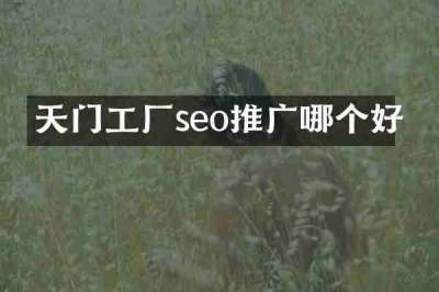 天门工厂seo推广哪个好