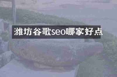 潍坊谷歌seo哪家好点