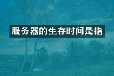 服务器的生存时间是指