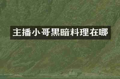 主播小哥黑暗料理在哪