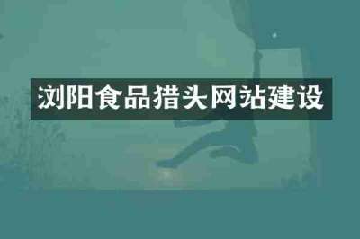 浏阳食品猎头网站建设