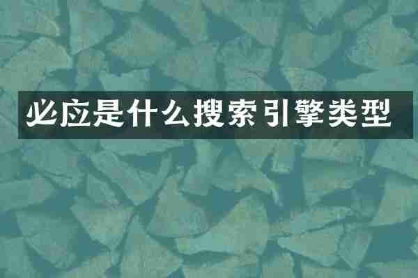 必应是什么搜索引擎类型