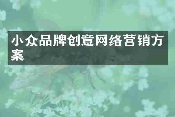 小众品牌创意网络营销方案