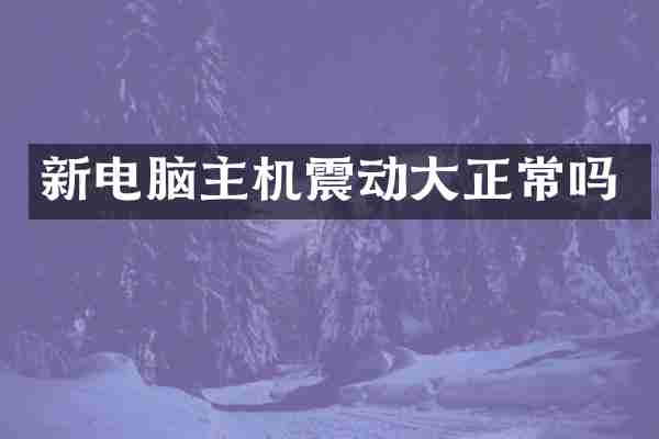 新电脑主机震动大正常吗