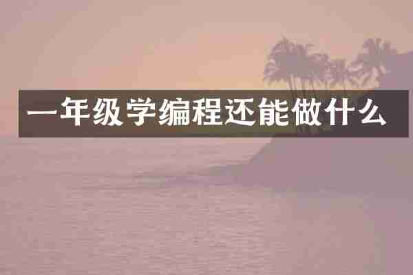 一年级学编程还能做什么