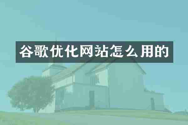 谷歌优化网站怎么用的