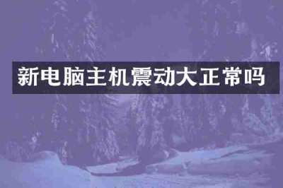 新电脑主机震动大正常吗
