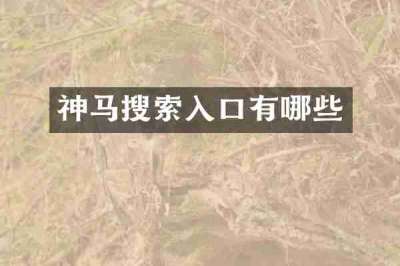 神马搜索入口有哪些