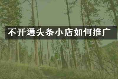 不开通头条小店如何推广