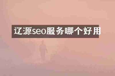 辽源seo服务哪个好用