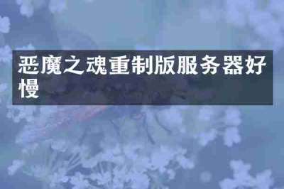 恶魔之魂重制版服务器好慢