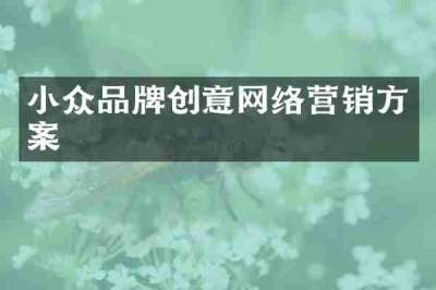 小众品牌创意网络营销方案