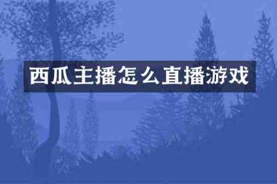 西瓜主播怎么直播游戏