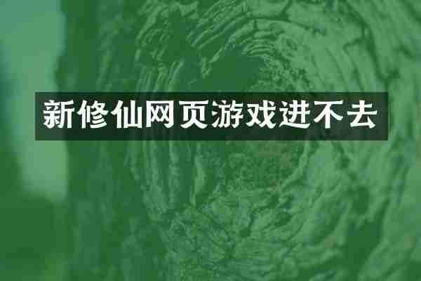 新修仙网页游戏进不去