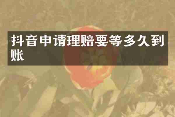 抖音申请理赔要等多久到账