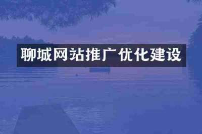 聊城网站推广优化建设