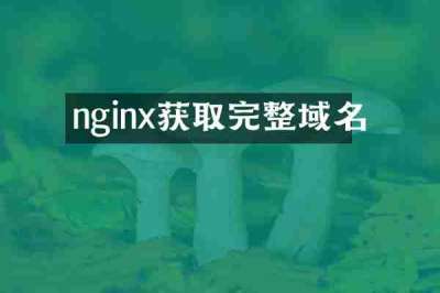 nginx获取完整域名