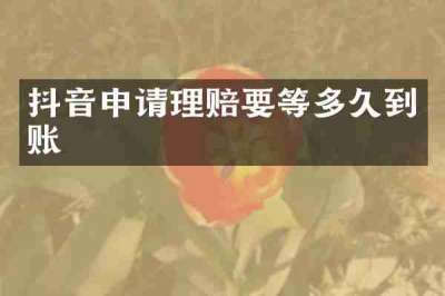 抖音申请理赔要等多久到账