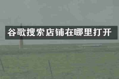 谷歌搜索店铺在哪里打开