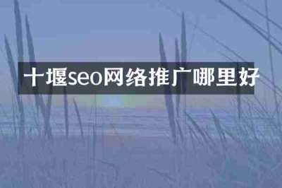 十堰seo网络推广哪里好
