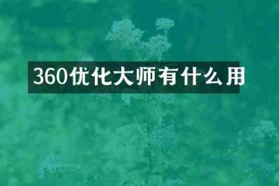 360优化大师有什么用