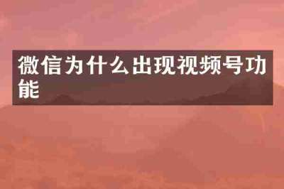 微信为什么出现视频号功能