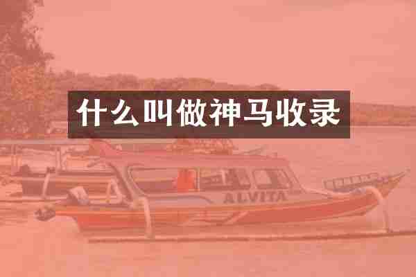 什么叫做神马收录