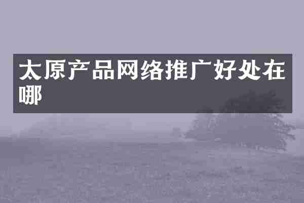 太原产品网络推广好处在哪