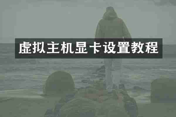 虚拟主机显卡设置教程