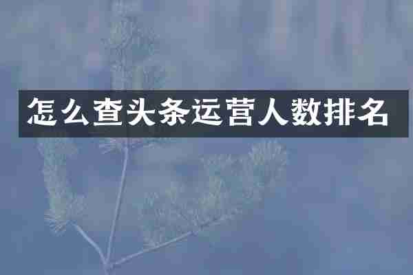 怎么查头条运营人数排名