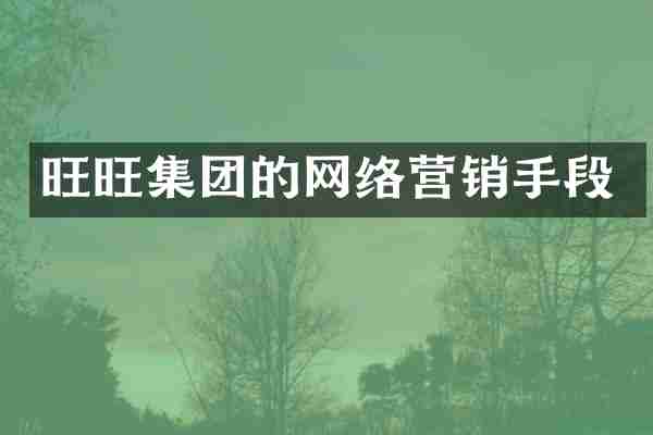 旺旺集团的网络营销手段